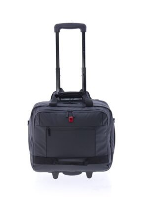 Trolley piloto Polar de Gladiator