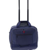 trolley-piloto-equipaje-de-mano394800_d39c18884b47b3b9c6cade19f8e2374b