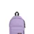 Lavender Lilac
